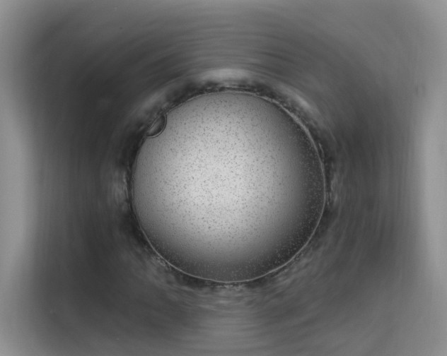 X0000113631062200909251216