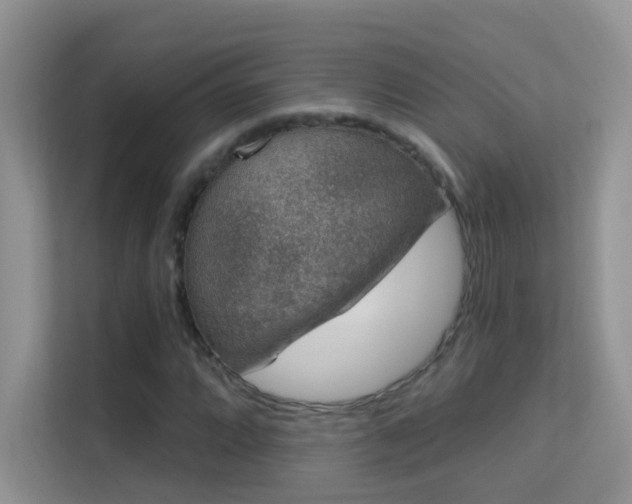 X0000113631064200909251216