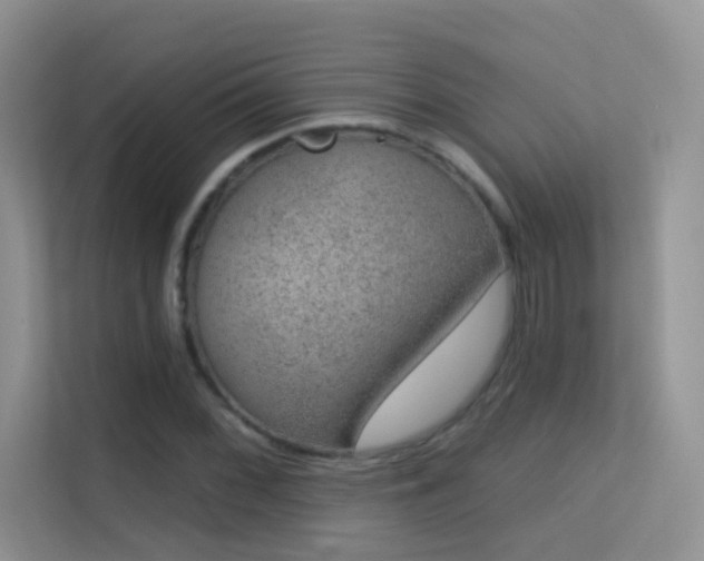 X0000113631068200909251216