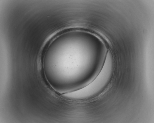 X0000113631069200909251216