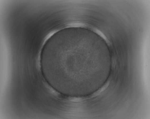 X0000113631071200909251216
