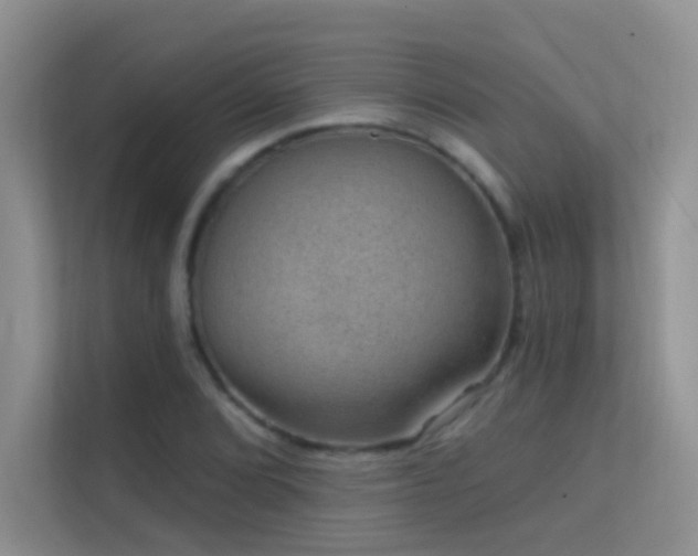 X0000113631072200909251216