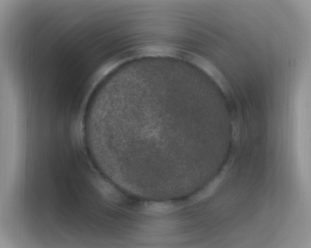 X0000113631074200909251216