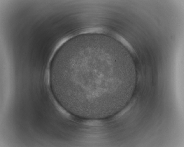 X0000113631079200909251216