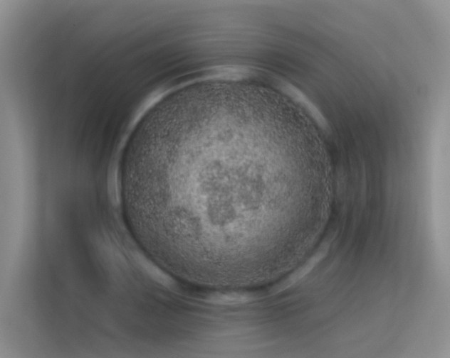X0000113631083200909251215