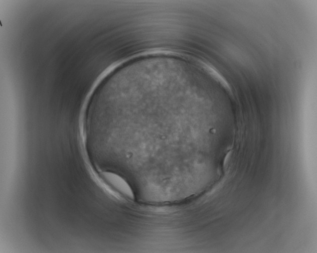 X0000113631084200909251215
