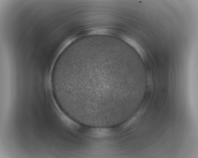 X0000113631090200909251215