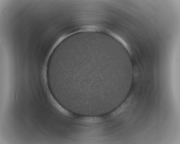 X0000113631091200909251215