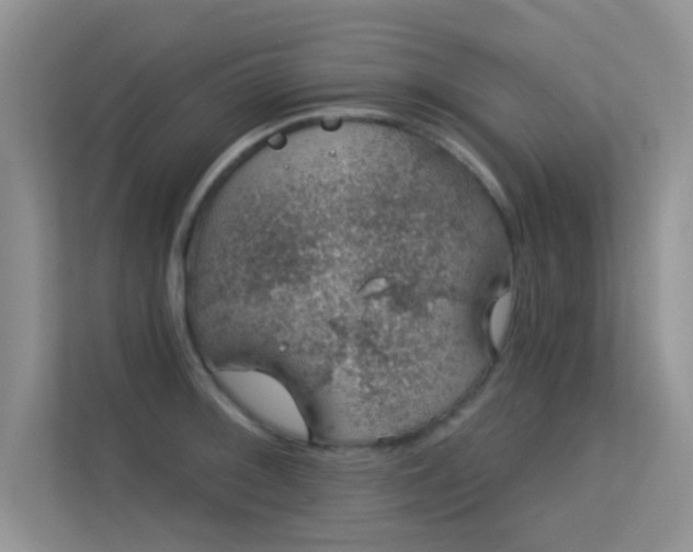 X0000113631092200909251215