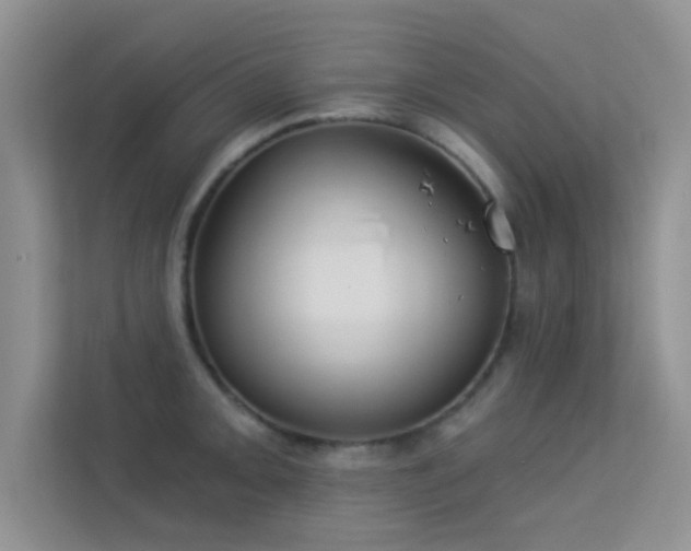 X0000113631093200909251215