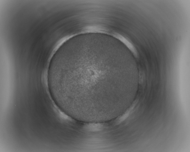X0000113631094200909251215