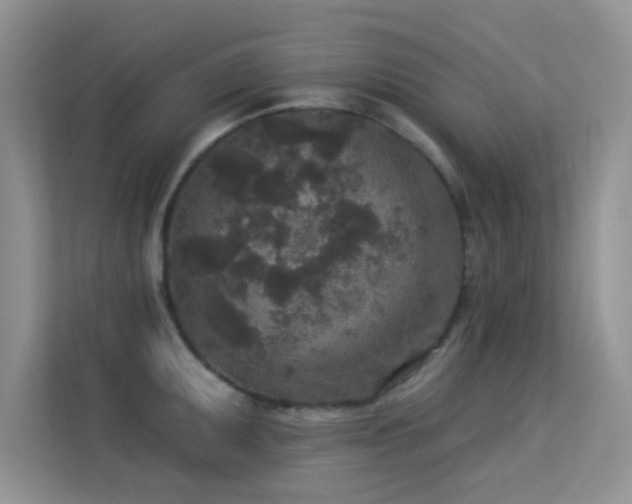 X0000113631095200909251215