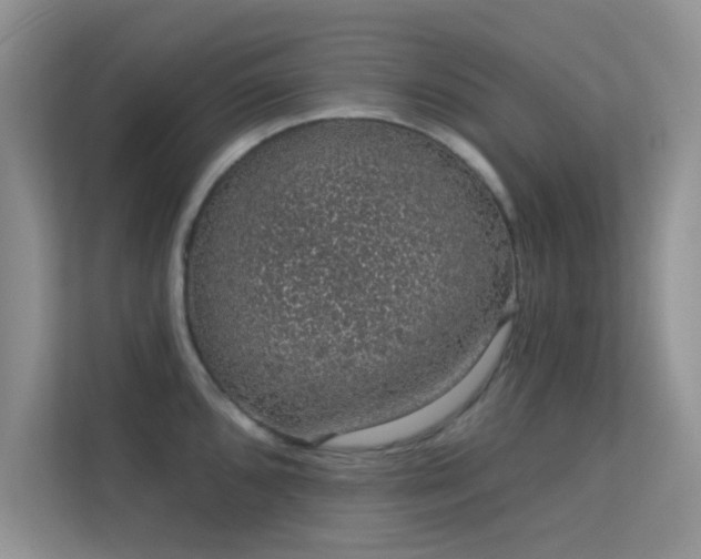 X0000113631096200909251215