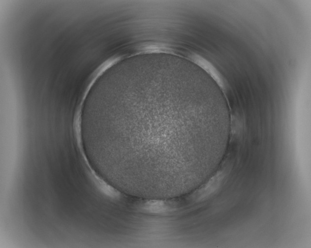 X0000113631098200909251215