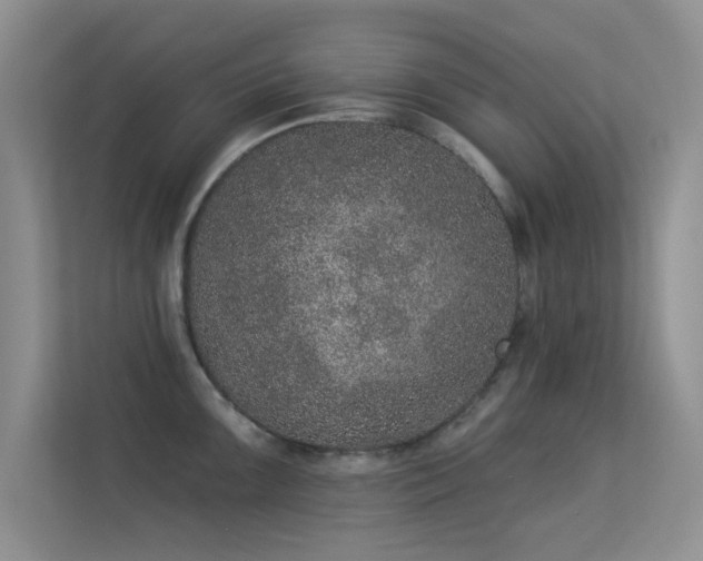 X0000113631099200909251215