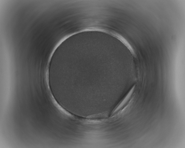 X0000113631100200909251215