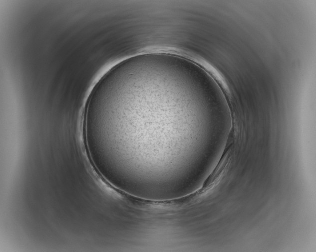 X0000113631102200909251215