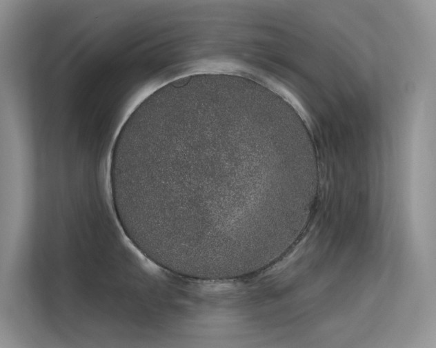 X0000113631103200909251215