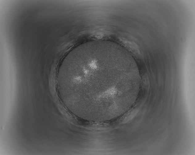 X0000113631105200909251215