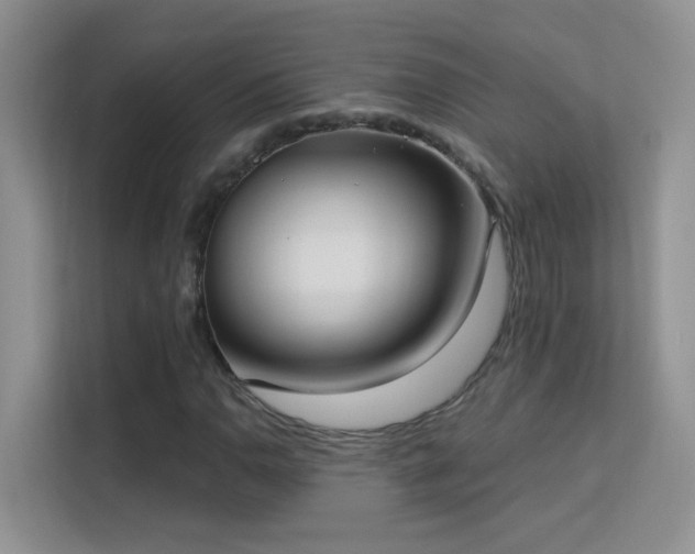 X0000113631110200909251215