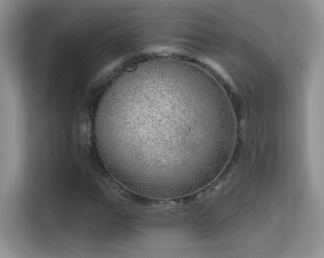 X0000113631111200909251215
