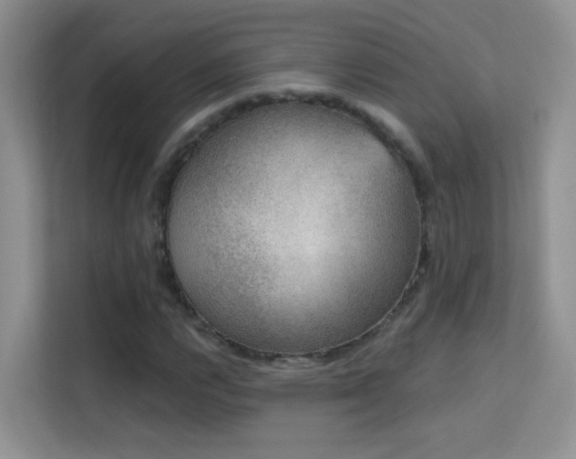 X0000113631112200909251215