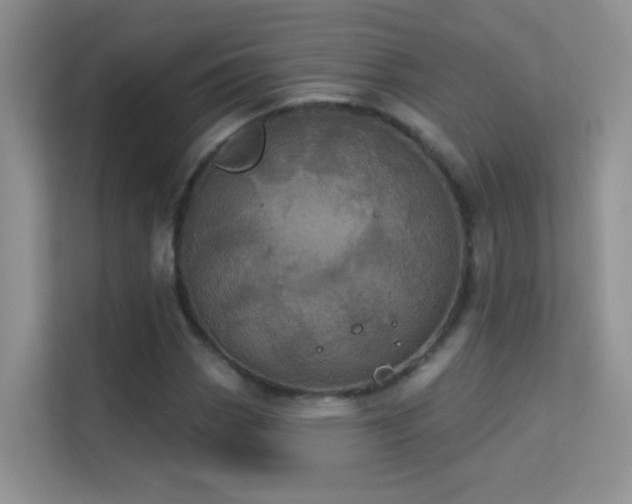 X0000113631113200909251215