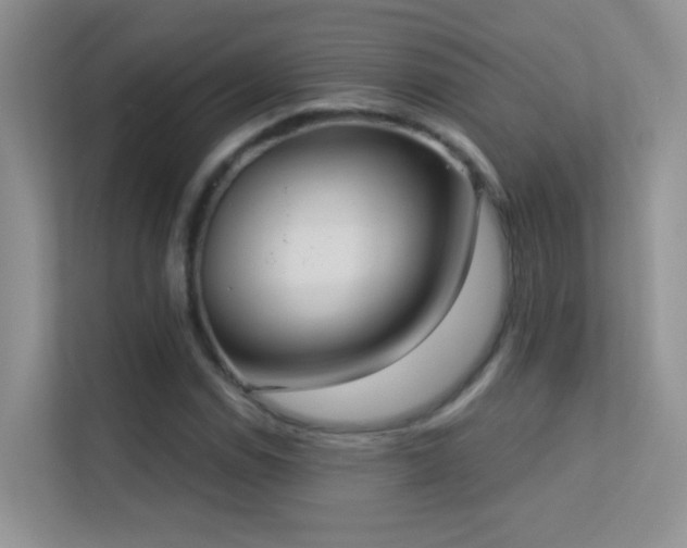 X0000113631114200909251215