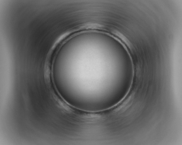 X0000113631115200909251215
