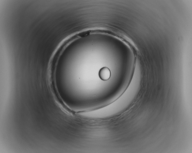 X0000113631116200909251215