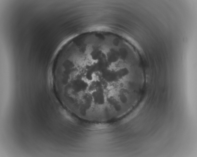 X0000113631117200909251215