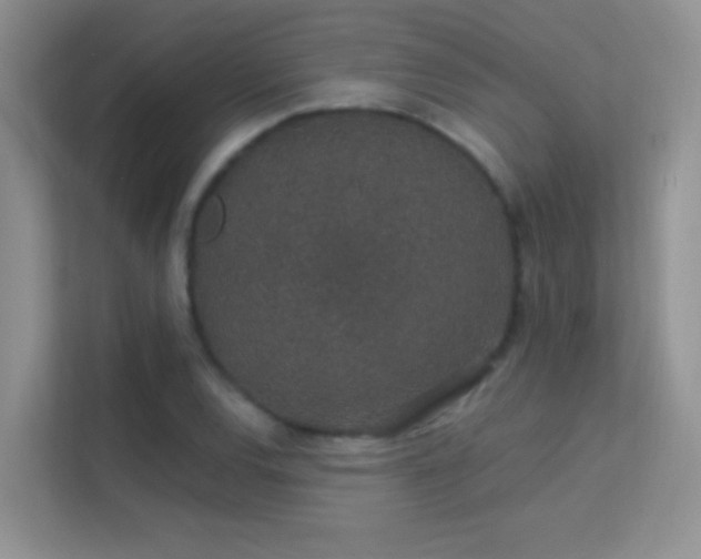 X0000113631120200909251215