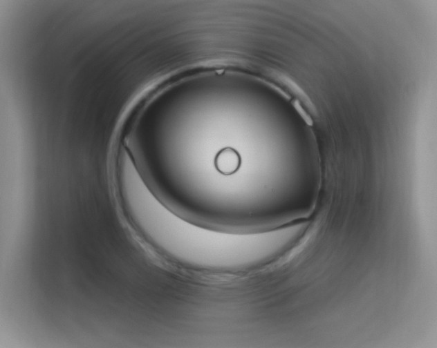 X0000113631122200909251215