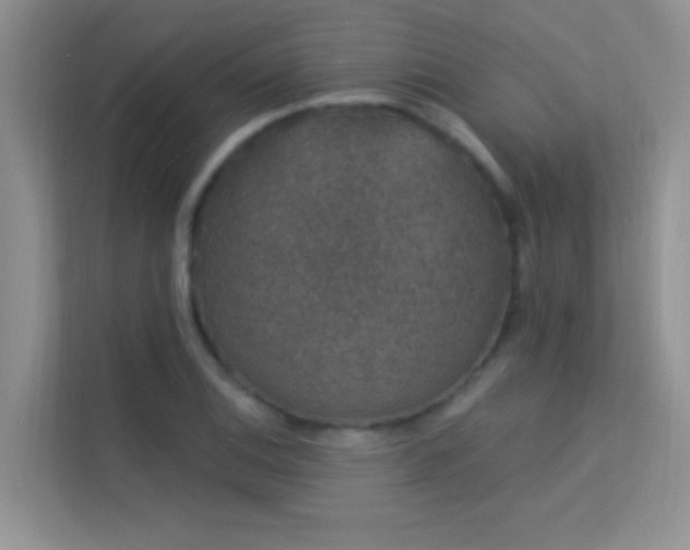X0000113631124200909251215