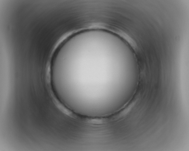 X0000113631126200909251215