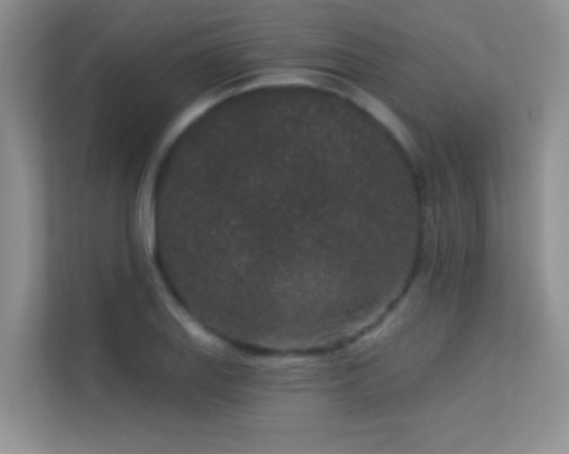 X0000113631127200909251215