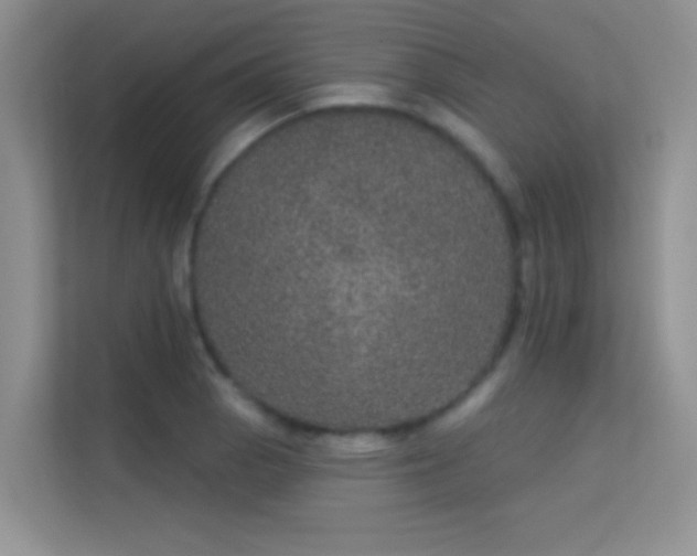 X0000113631129200909251215