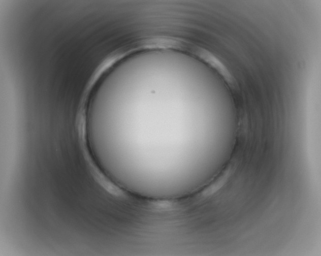 X0000113631130200909251215