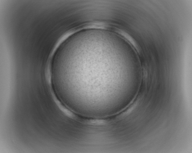 X0000113631131200909251215