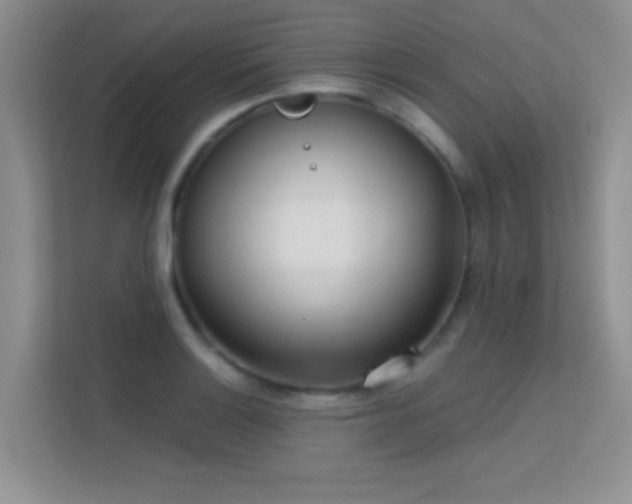 X0000113631132200909251215