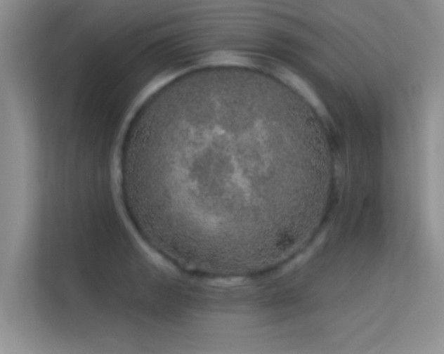 X0000113631133200909251215