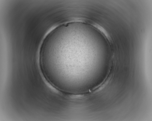 X0000113631135200909251215