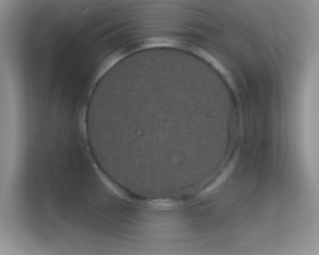 X0000113631137200909251215