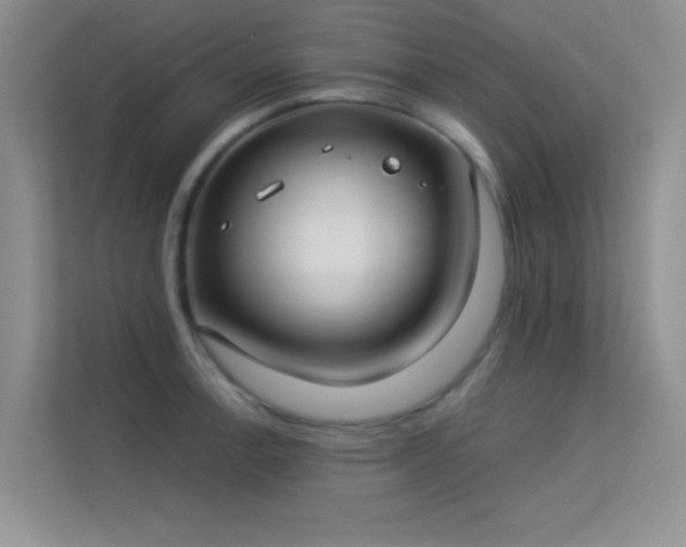 X0000113631138200909251215