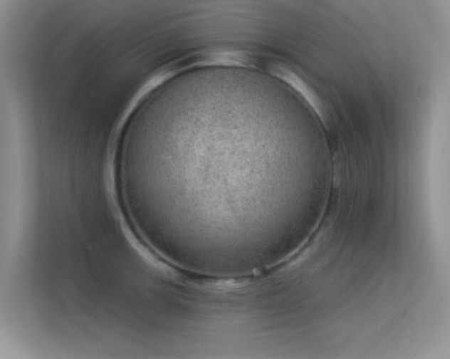 X0000113631139200909251215