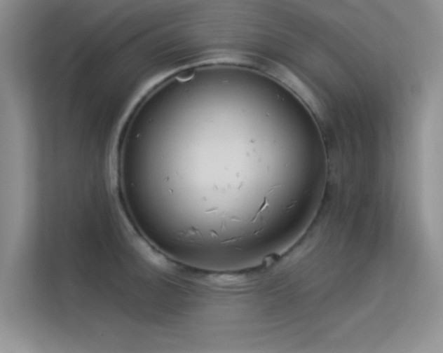 X0000113631140200909251215