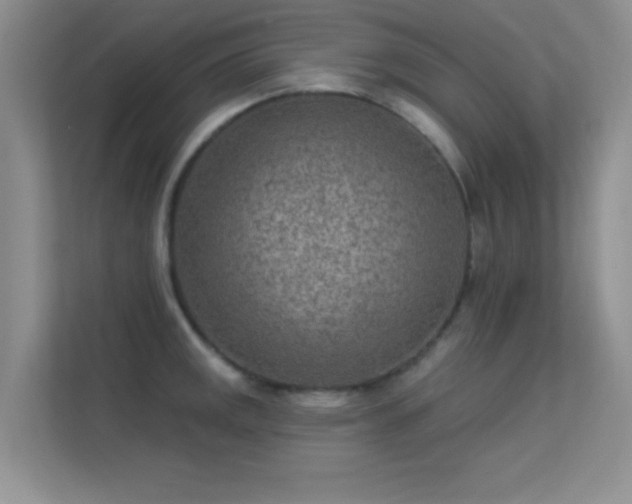 X0000113631141200909251215