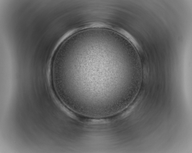 X0000113631142200909251215
