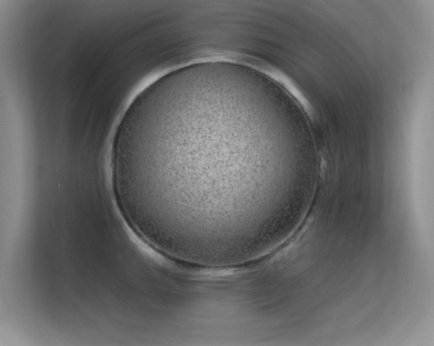 X0000113631143200909251215