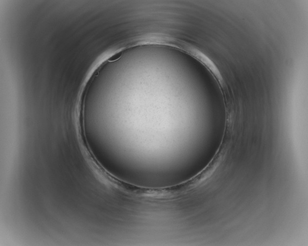 X0000113631146200909251215